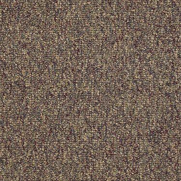 Camden Harbor Ii Commercial Carpet by Philadelphia Commercial in the color Fruitwood. Sample of browns carpet pattern and texture.