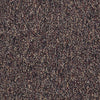 Camden Harbor Ii Commercial Carpet by Philadelphia Commercial in the color Henna Spice. Sample of reds carpet pattern and texture.