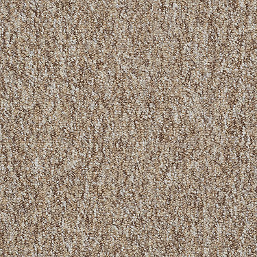 Camden Harbor Unitary Commercial Carpet by Philadelphia Commercial in the color Mocha. Sample of beiges carpet pattern and texture.