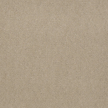 Emphatic Ii 30 Residential Carpet by Philadelphia Commercial in the color White Gold. Sample of beiges carpet pattern and texture.