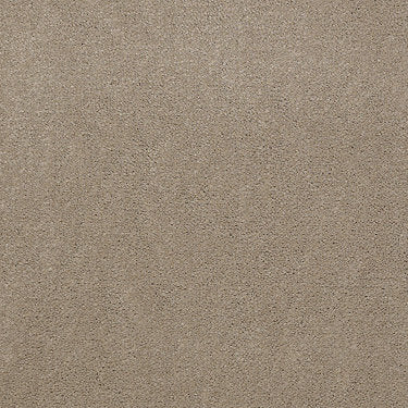 Emphatic Ii 30 Residential Carpet by Philadelphia Commercial in the color Timeless. Sample of beiges carpet pattern and texture.