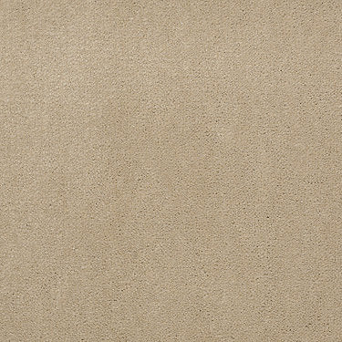 Emphatic Ii 30 Residential Carpet by Philadelphia Commercial in the color Sand Pebble. Sample of beiges carpet pattern and texture.