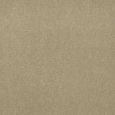 Emphatic Ii 30 Residential Carpet by Philadelphia Commercial in the color Parchment. Sample of beiges carpet pattern and texture.