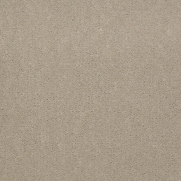 Emphatic Ii 30 Residential Carpet by Philadelphia Commercial in the color Oatmeal. Sample of beiges carpet pattern and texture.