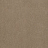 Emphatic Ii 30 Residential Carpet by Philadelphia Commercial in the color Canyon Dust. Sample of beiges carpet pattern and texture.