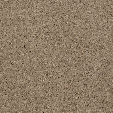 Emphatic Ii 30 Residential Carpet by Philadelphia Commercial in the color Canyon Dust. Sample of beiges carpet pattern and texture.