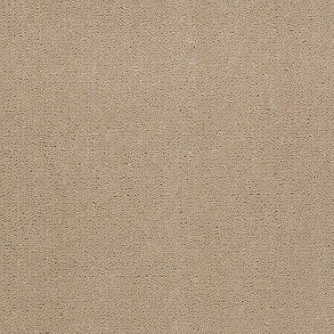 Emphatic Ii 30 Residential Carpet by Philadelphia Commercial in the color Blondwood. Sample of beiges carpet pattern and texture.