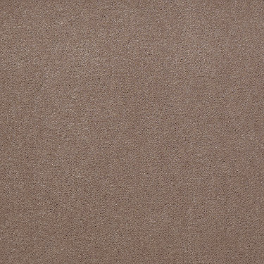 Emphatic Ii 30 Residential Carpet by Philadelphia Commercial in the color Clay Bisque. Sample of beiges carpet pattern and texture.