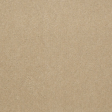 Emphatic Ii 30 Residential Carpet by Philadelphia Commercial in the color Candlewick. Sample of beiges carpet pattern and texture.