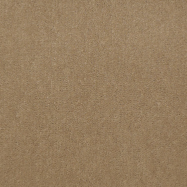 Emphatic Ii 30 Residential Carpet by Philadelphia Commercial in the color Straw Market. Sample of beiges carpet pattern and texture.