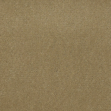 Emphatic Ii 30 Residential Carpet by Philadelphia Commercial in the color Butterscotch. Sample of beiges carpet pattern and texture.