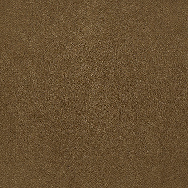 Emphatic Ii 30 Residential Carpet by Philadelphia Commercial in the color Burnished. Sample of golds carpet pattern and texture.