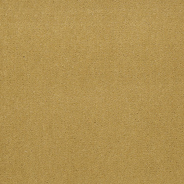 Emphatic Ii 30 Residential Carpet by Philadelphia Commercial in the color Sunflower. Sample of golds carpet pattern and texture.