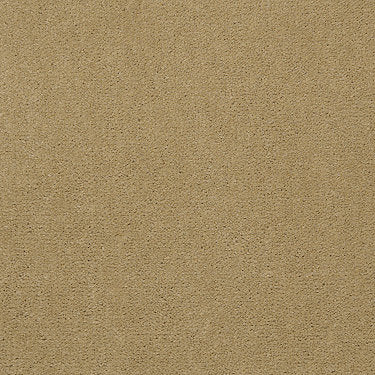 Emphatic Ii 30 Residential Carpet by Philadelphia Commercial in the color Honeywheat. Sample of golds carpet pattern and texture.