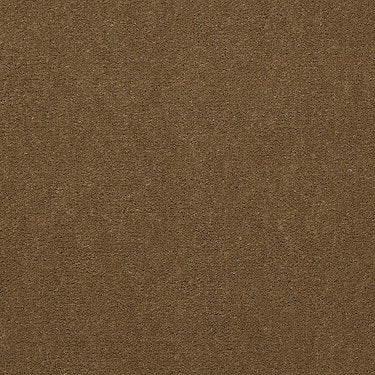 Emphatic Ii 30 Residential Carpet by Philadelphia Commercial in the color Cajun. Sample of golds carpet pattern and texture.