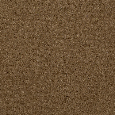 Emphatic Ii 30 Residential Carpet by Philadelphia Commercial in the color Cajun. Sample of golds carpet pattern and texture.