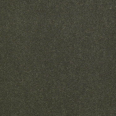 Emphatic Ii 30 Residential Carpet by Philadelphia Commercial in the color Thyme. Sample of greens carpet pattern and texture.