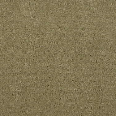 Emphatic Ii 30 Residential Carpet by Philadelphia Commercial in the color Tea Green. Sample of greens carpet pattern and texture.