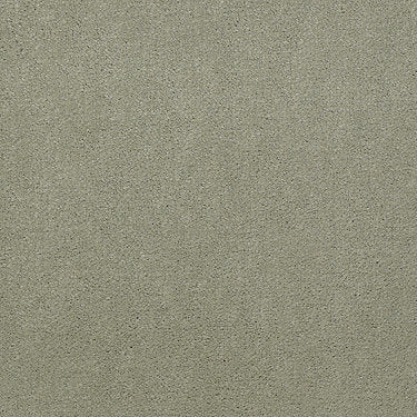 Emphatic Ii 30 Residential Carpet by Philadelphia Commercial in the color Dew Green. Sample of greens carpet pattern and texture.