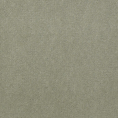 Emphatic Ii 30 Residential Carpet by Philadelphia Commercial in the color Dew Green. Sample of greens carpet pattern and texture.