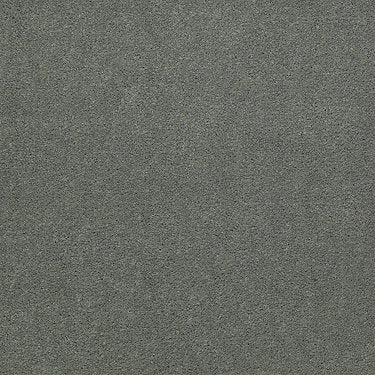 Emphatic Ii 30 Residential Carpet by Philadelphia Commercial in the color Dried Sage. Sample of greens carpet pattern and texture.