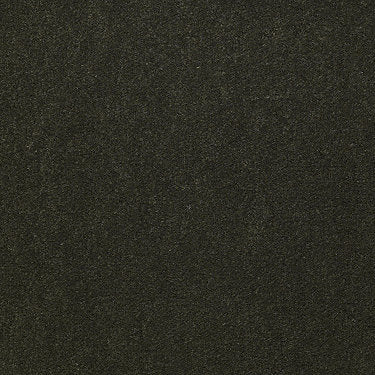 Emphatic Ii 30 Residential Carpet by Philadelphia Commercial in the color Artichoke. Sample of greens carpet pattern and texture.