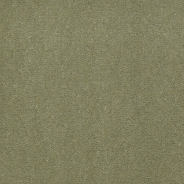 Emphatic Ii 30 Residential Carpet by Philadelphia Commercial in the color Island Green. Sample of greens carpet pattern and texture.