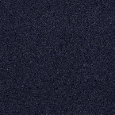 Emphatic Ii 30 Residential Carpet by Philadelphia Commercial in the color Black Sapphire. Sample of blues carpet pattern and texture.