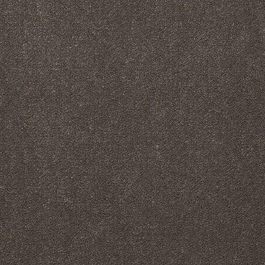 Emphatic Ii 30 Residential Carpet by Philadelphia Commercial in the color Sandy Taupe. Sample of grays carpet pattern and texture.