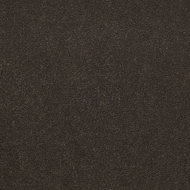 Emphatic Ii 30 Residential Carpet by Philadelphia Commercial in the color Brocade. Sample of browns carpet pattern and texture.