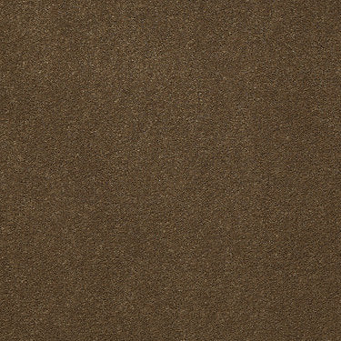 Emphatic Ii 30 Residential Carpet by Philadelphia Commercial in the color Sugar Maple. Sample of browns carpet pattern and texture.