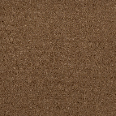 Emphatic Ii 30 Residential Carpet by Philadelphia Commercial in the color Camelback. Sample of browns carpet pattern and texture.