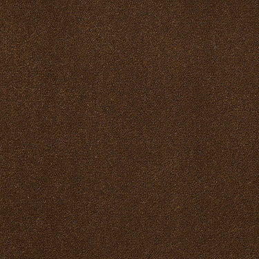 Emphatic Ii 30 Residential Carpet by Philadelphia Commercial in the color Cinnamon Sugar. Sample of browns carpet pattern and texture.