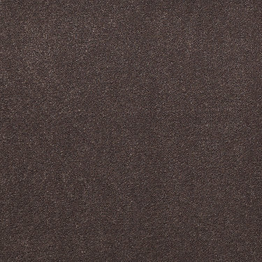 Emphatic Ii 30 Residential Carpet by Philadelphia Commercial in the color Raisin. Sample of browns carpet pattern and texture.