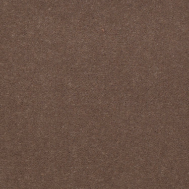 Emphatic Ii 30 Residential Carpet by Philadelphia Commercial in the color Koala. Sample of browns carpet pattern and texture.