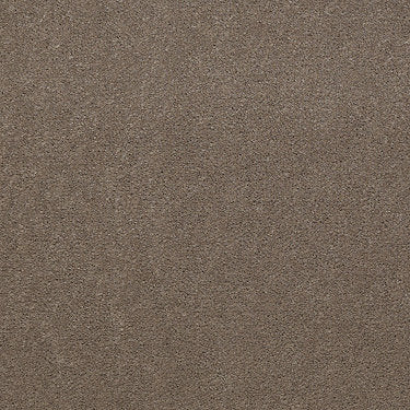 Emphatic Ii 30 Residential Carpet by Philadelphia Commercial in the color Smokey. Sample of browns carpet pattern and texture.