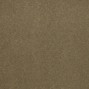 Emphatic Ii 30 Residential Carpet by Philadelphia Commercial in the color Olive Twist. Sample of browns carpet pattern and texture.