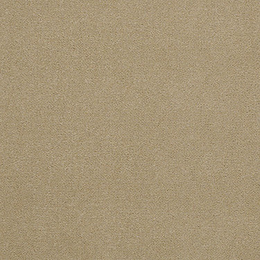 Emphatic Ii 36 Residential Carpet by Philadelphia Commercial in the color Sand Pebble. Sample of beiges carpet pattern and texture.