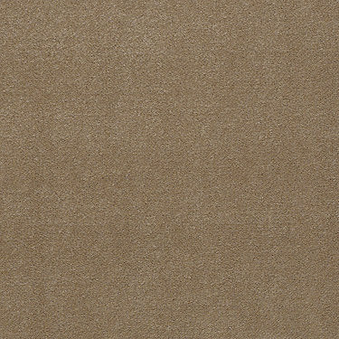 Emphatic Ii 36 Residential Carpet by Philadelphia Commercial in the color Canyon Dust. Sample of beiges carpet pattern and texture.