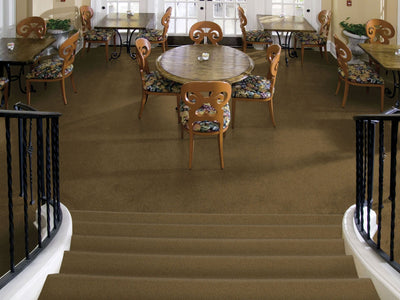 Emphatic Ii 36 Residential Carpet by Philadelphia Commercial in the color Burnished. Image of golds carpet in a room.