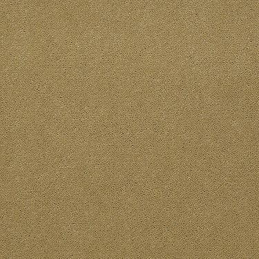 Emphatic Ii 36 Residential Carpet by Philadelphia Commercial in the color Honeywheat. Sample of golds carpet pattern and texture.