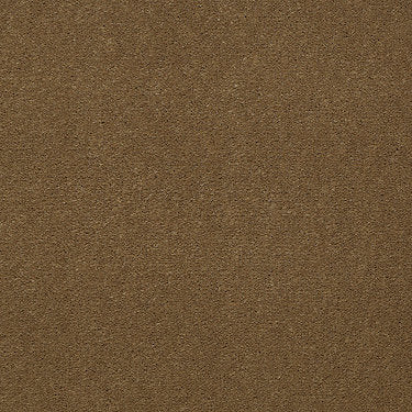 Emphatic Ii 36 Residential Carpet by Philadelphia Commercial in the color Cajun. Sample of golds carpet pattern and texture.