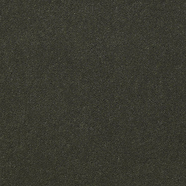 Emphatic Ii 36 Residential Carpet by Philadelphia Commercial in the color Thyme. Sample of greens carpet pattern and texture.