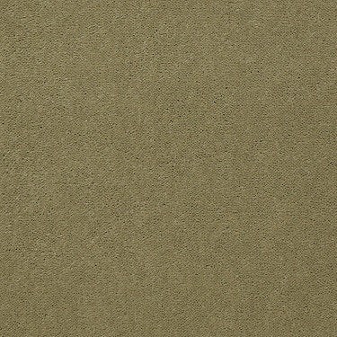 Emphatic Ii 36 Residential Carpet by Philadelphia Commercial in the color Tea Green. Sample of greens carpet pattern and texture.