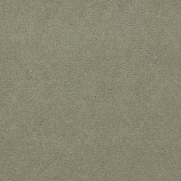 Emphatic Ii 36 Residential Carpet by Philadelphia Commercial in the color Dew Green. Sample of greens carpet pattern and texture.