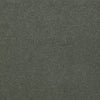 Emphatic Ii 36 Residential Carpet by Philadelphia Commercial in the color Dried Sage. Sample of greens carpet pattern and texture.