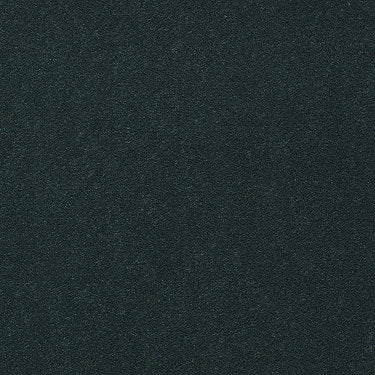 Emphatic Ii 36 Residential Carpet by Philadelphia Commercial in the color Capri. Sample of greens carpet pattern and texture.