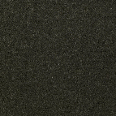 Emphatic Ii 36 Residential Carpet by Philadelphia Commercial in the color Artichoke. Sample of greens carpet pattern and texture.