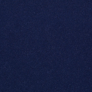 Emphatic Ii 36 Residential Carpet by Philadelphia Commercial in the color Newport. Sample of blues carpet pattern and texture.