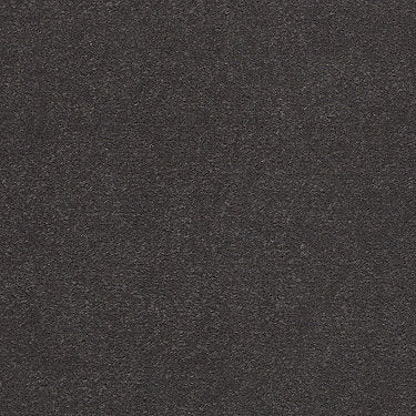 Emphatic Ii 36 Residential Carpet by Philadelphia Commercial in the color Weather Vane. Sample of grays carpet pattern and texture.